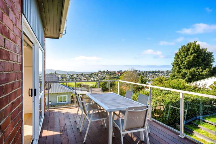 123 Lynn Street Wakari_13