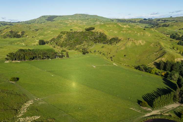 8/3382 Pourerere Road Central Hawkes Bay Coastal_7