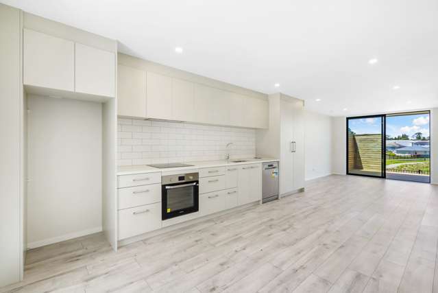 8/47 Freeland Avenue Mount Roskill_3