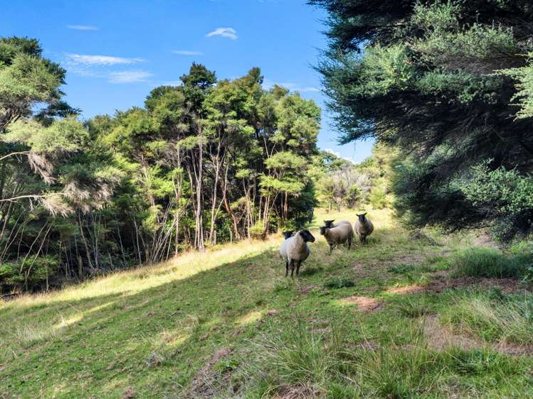 158 McLeod Road South Head_26