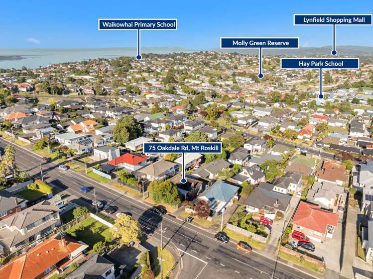 75 Oakdale Road Mt Roskill_11