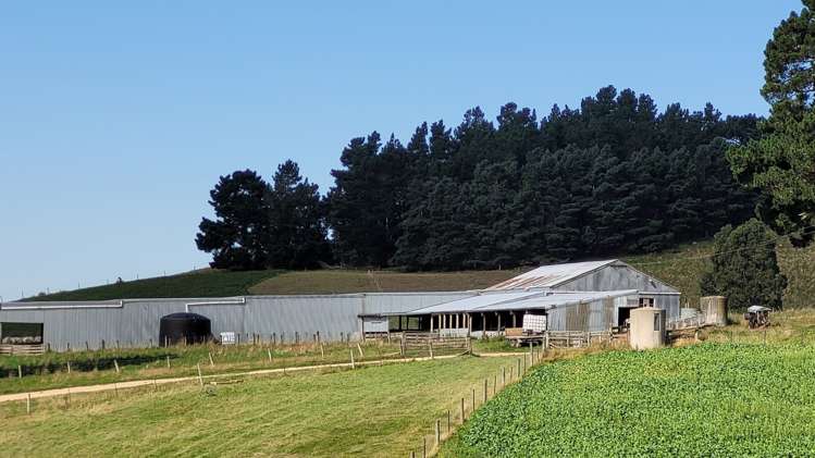 72 Wrights Road Waitaki_3
