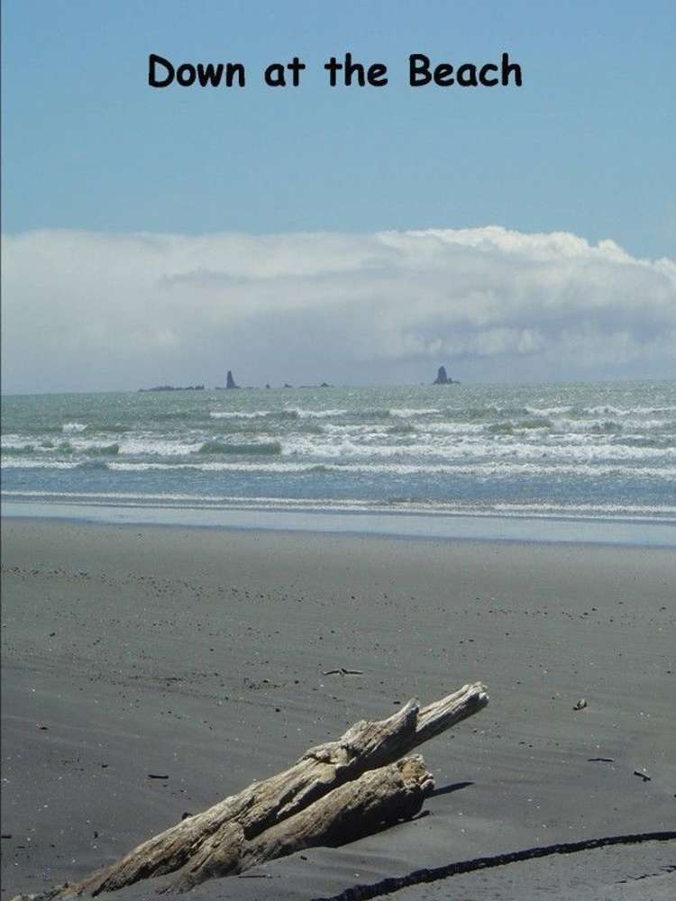 10 Elley Drive Carters Beach_2