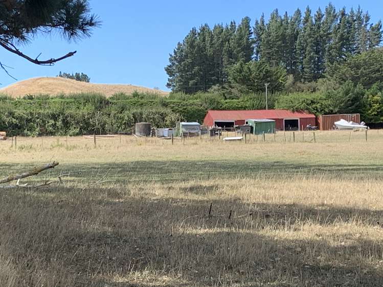 113 Ward Road Cheviot_13