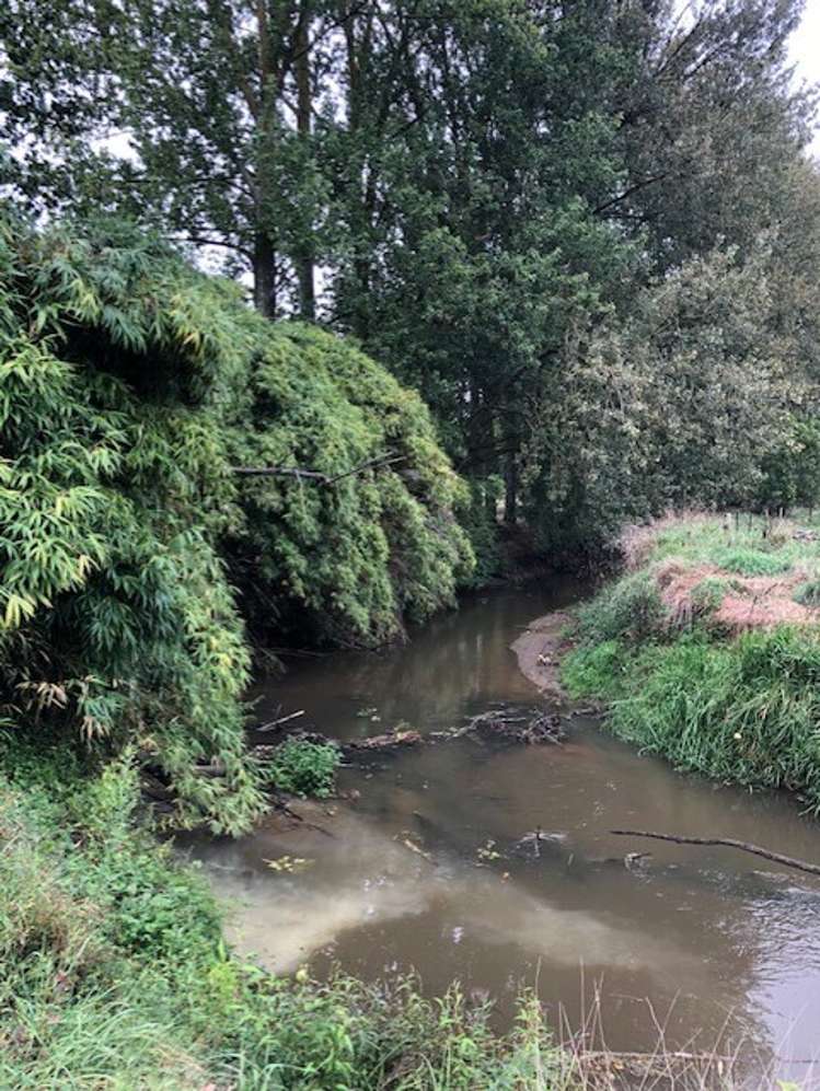 55 Kio Kio Station Road Otorohanga_21