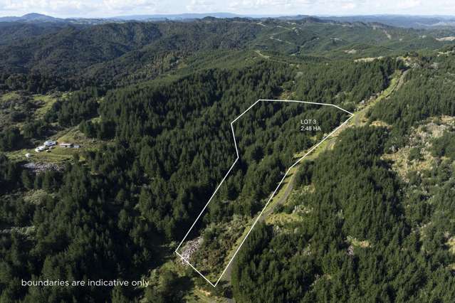 Lot 3 and 4/169 Tunatahi Road Panguru_3