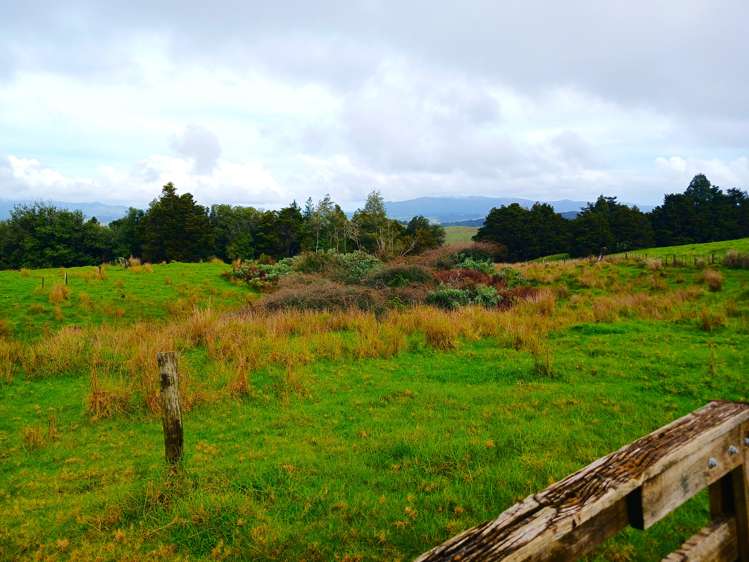 Lot 1 & 3 Fisher-Riley Road Kaitaia_16