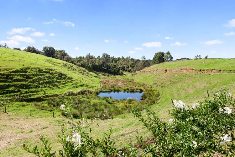 1155 Stanley Road Waimana_2