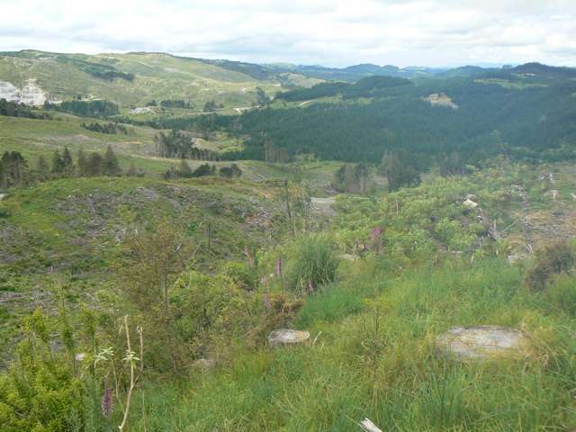 Lot 65 Stoney Creek Road Mangamuka_4