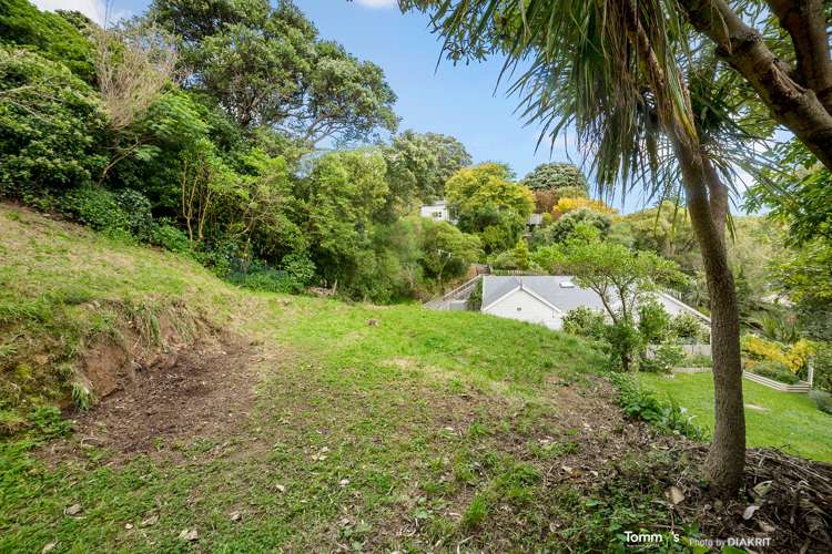 3A Busaco Road Hataitai_7