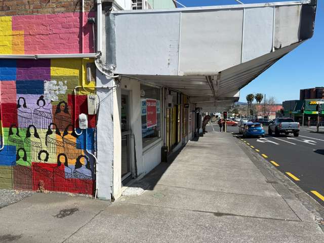 58 Rosebank Road Avondale_3