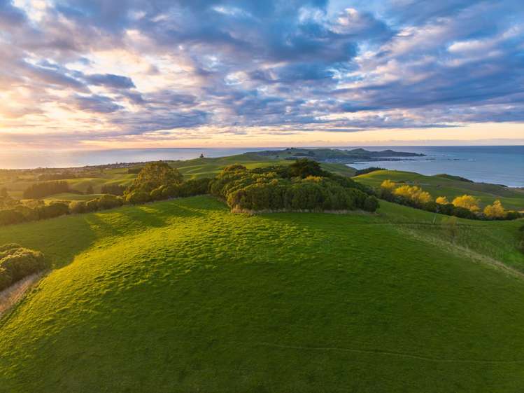 Ocean Ridge Kaikoura_15