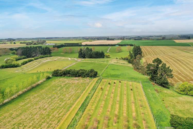 331 Fairview Road Fairview_18