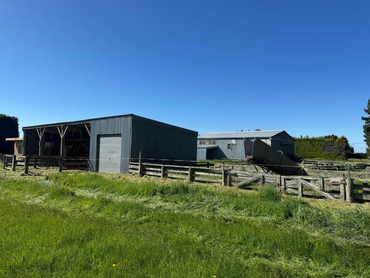 776 Ryal Bush Wallacetown Road Wallacetown_11