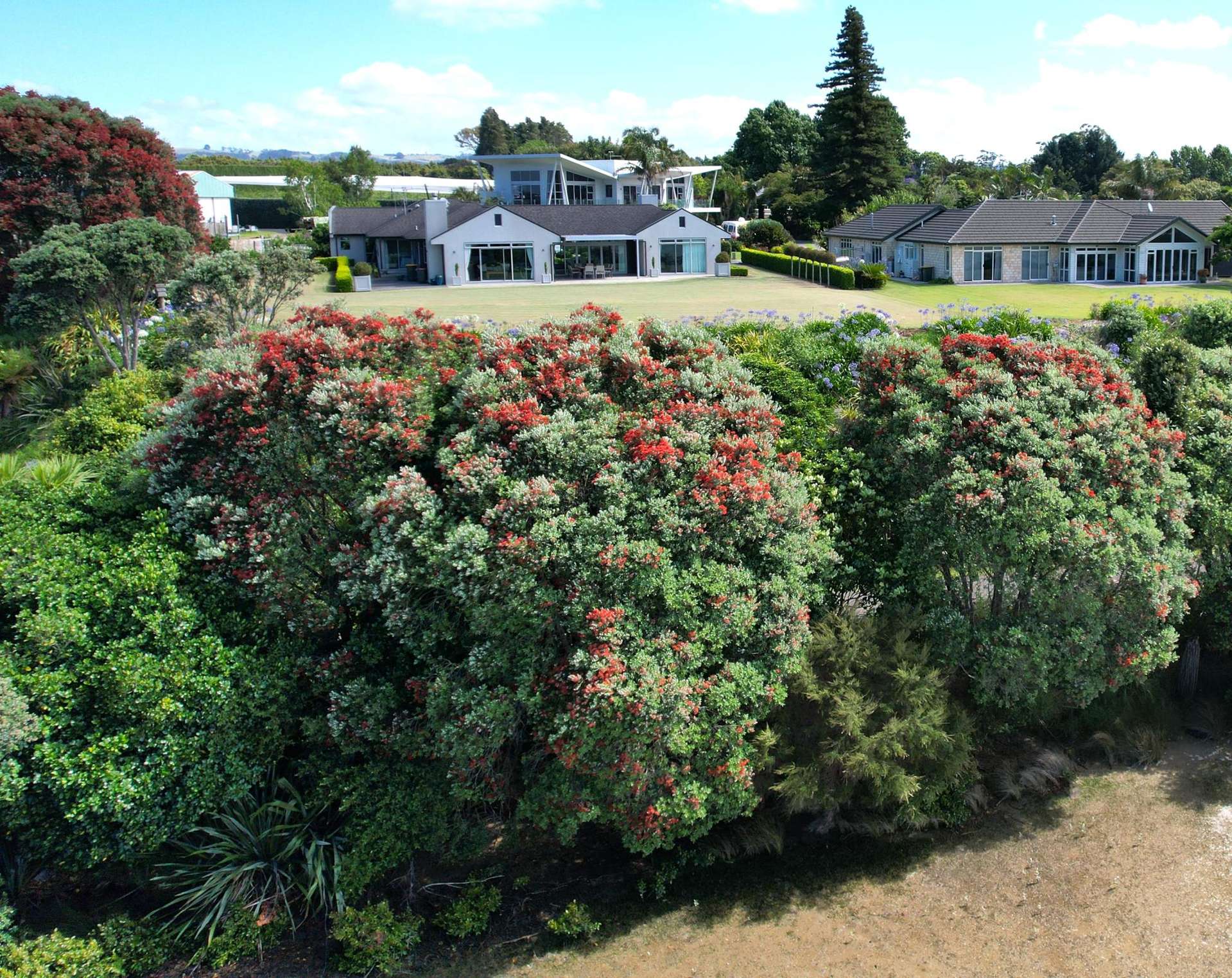 329o Plummers Point Road Whakamarama_0