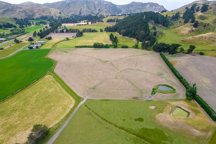 6 Clermont Street Ward_12