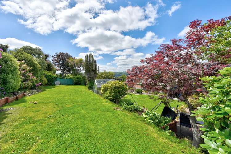 86 Frank Street Gore_5