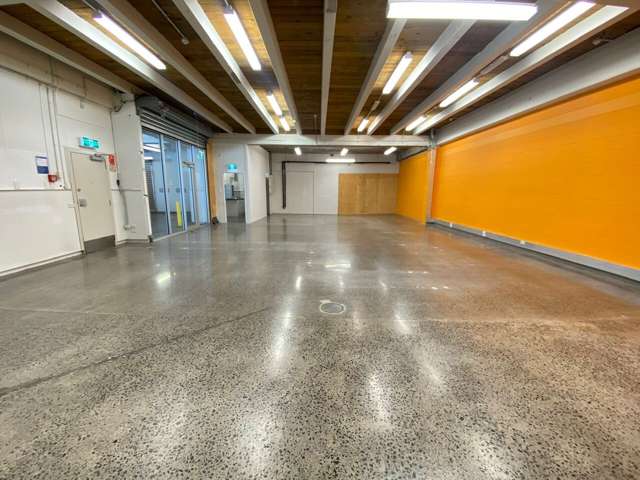 181 Khyber Pass Road Grafton_3