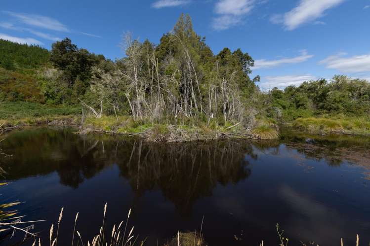 Waiwhero Road Ngatimoti_1