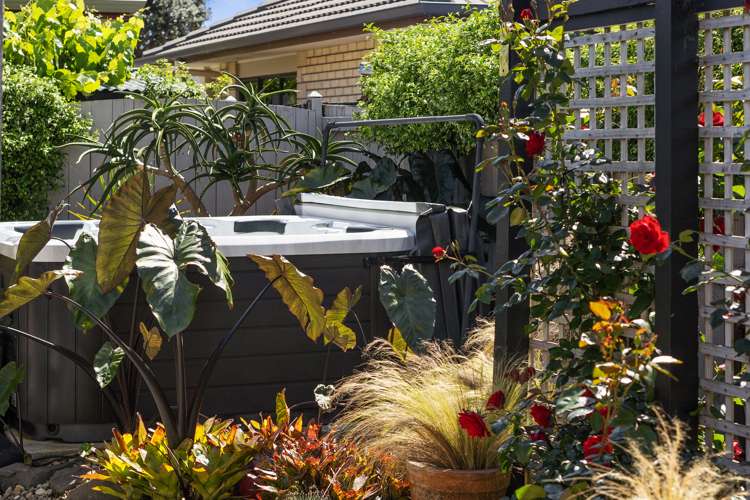 5 Mauritius Key Papamoa_50