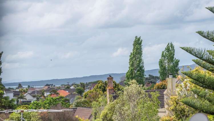 29 Tarawera Terrace Saint Heliers_16