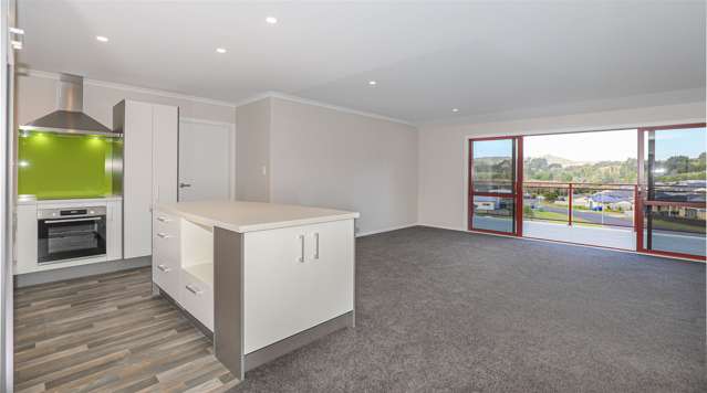 19 Hartis Avenue Huntly_1