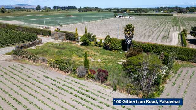 100 Gilbertson Road Pakowhai_3