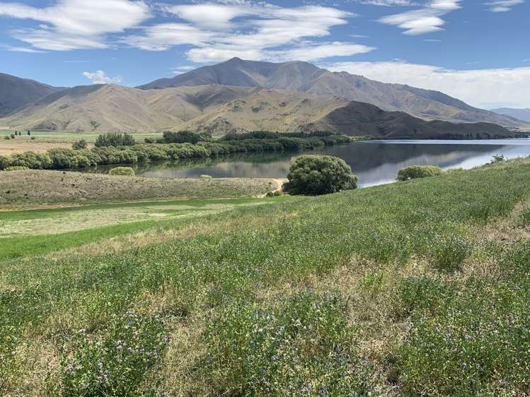 3570 Omarama-Otematata Road Otematata_9