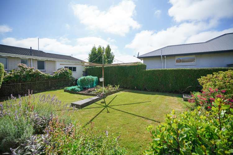 218 Chelmsford Street Waverley_14