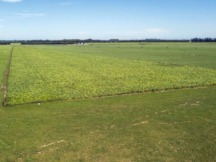 2264 Thompsons Track Lauriston_2