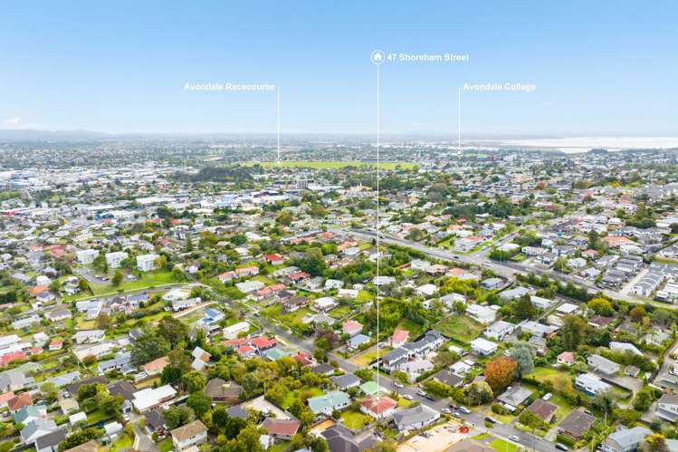 47 Shoreham Street Avondale_14