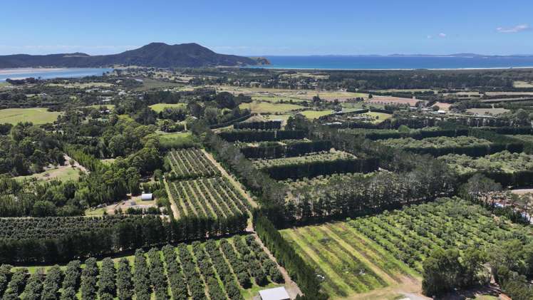 43 Burnage Road Pukenui_17