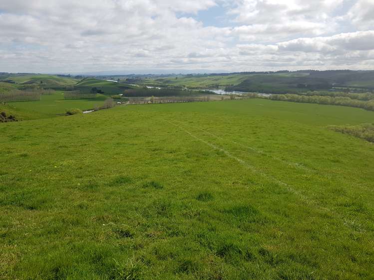 173 Soper Road Clinton and Surrounds_12