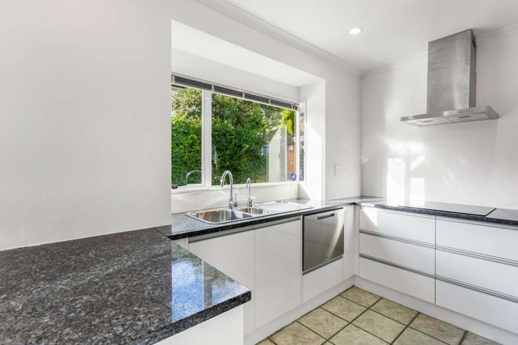 34a Haig Avenue Mount Roskill_2