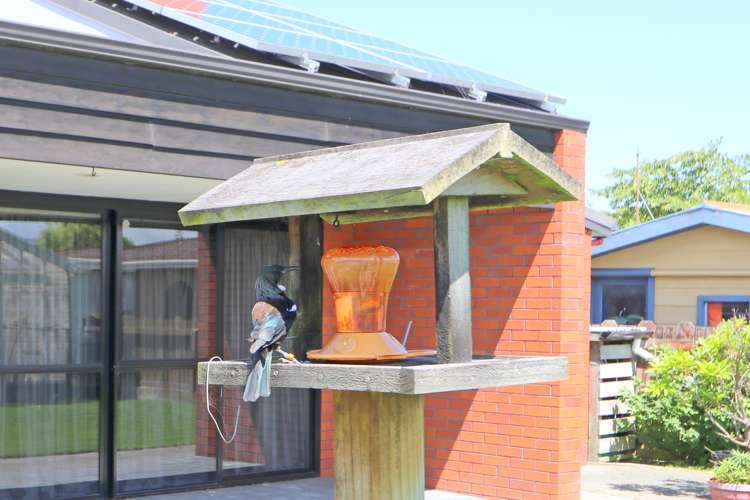 105 Bourke Street Windsor_43