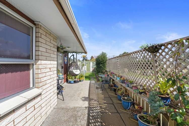 8A Grey Street Putaruru_9