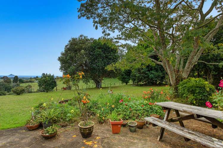 306 Tablelands Road Opotiki Coastal_28