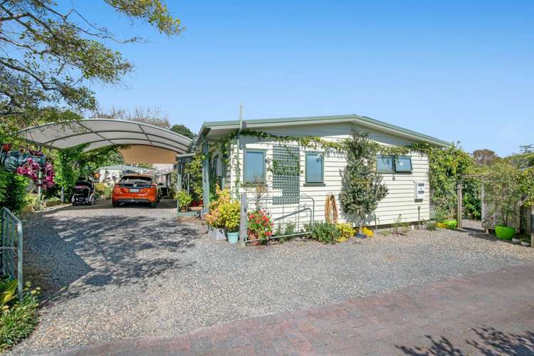 867a Whangaparaoa Road Manly_15