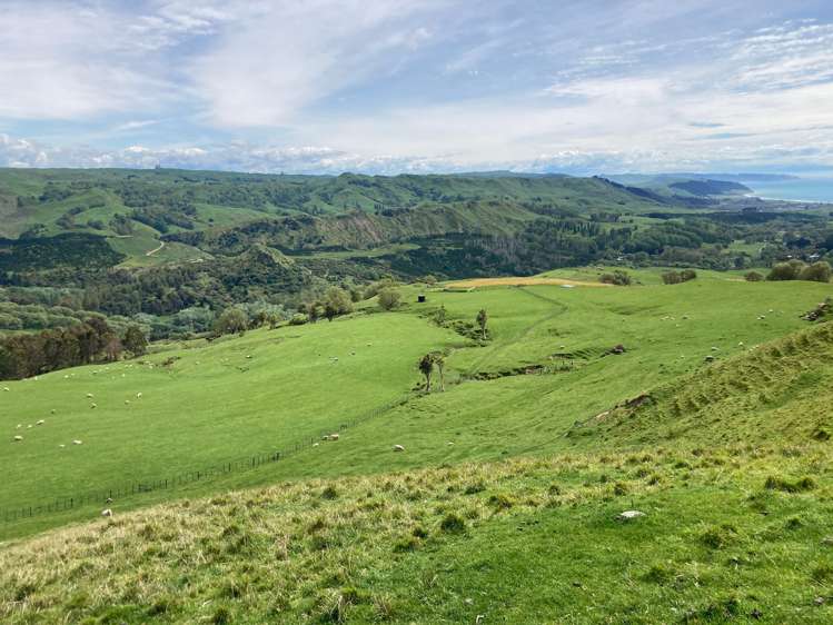 715 Te Apiti Road Waimarama_15