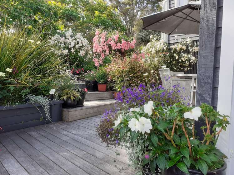 41 Melville Drive Whakatane_37