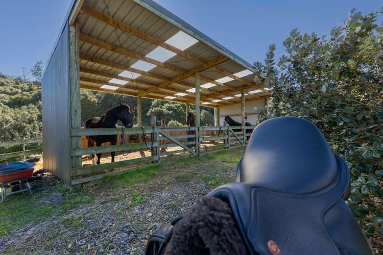 719 Waikare Road Kawakawa_25