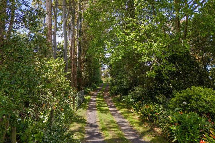 7 Walker Road East Katikati_18