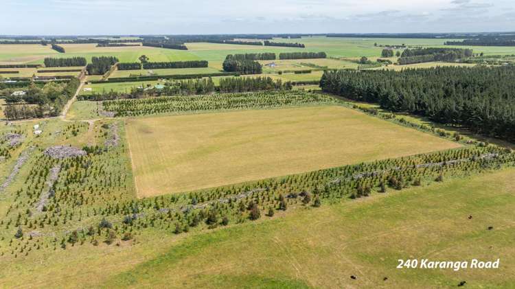 238 - 240 Karanga Road Dunsandel_8