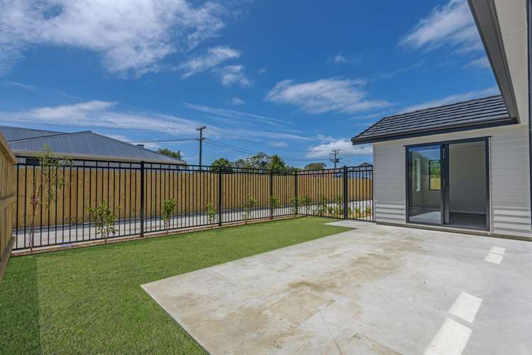 38 Hammond Street Bulls_16