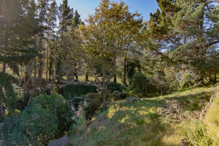 29 Durie Vale Road Durie Hill_17