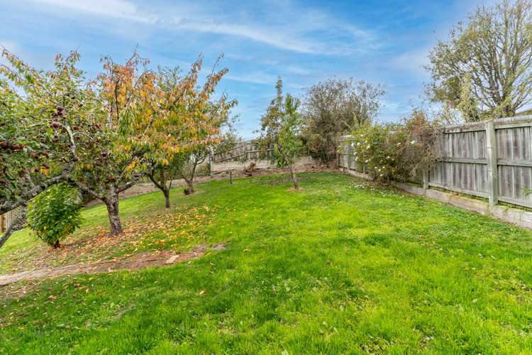 14 Brough Street Palmerston_30