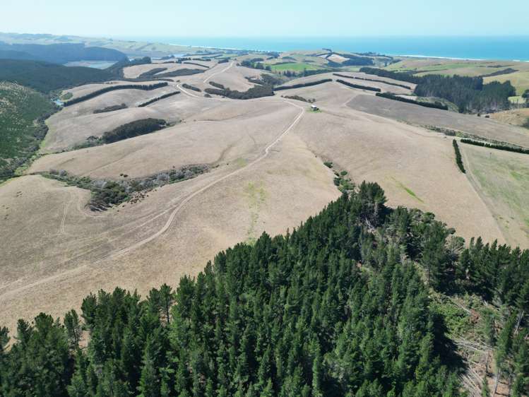 Toko Mouth Road Toko Mouth_10