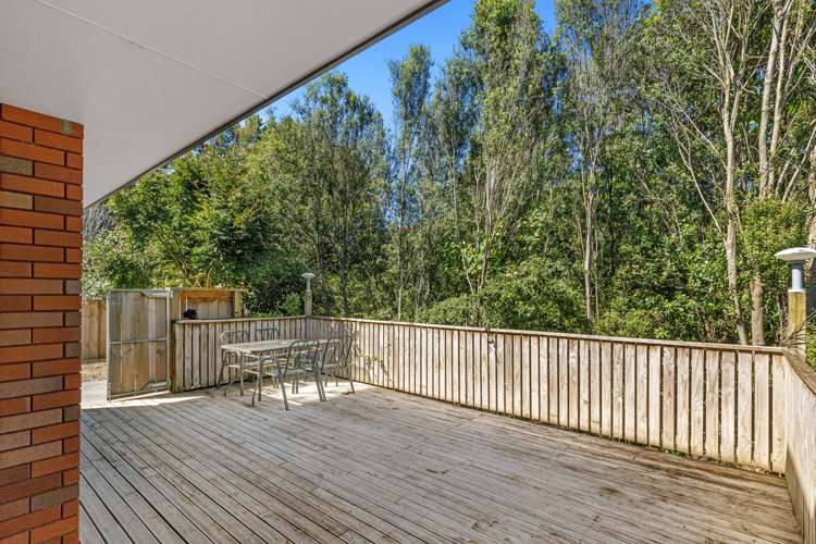 732 Tahuroa Road Morrinsville_17