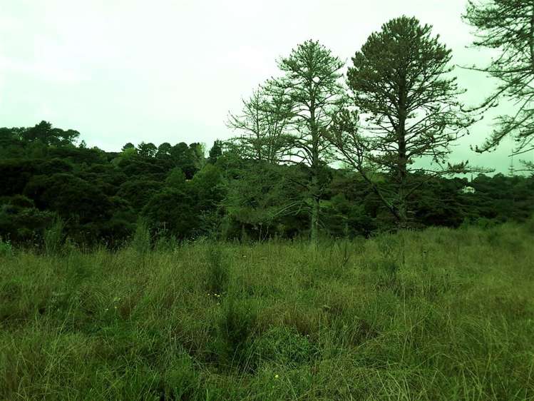 276d Okura River Road Long Bay_5