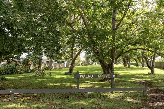 2 Walnut Grove Omokoroa_3